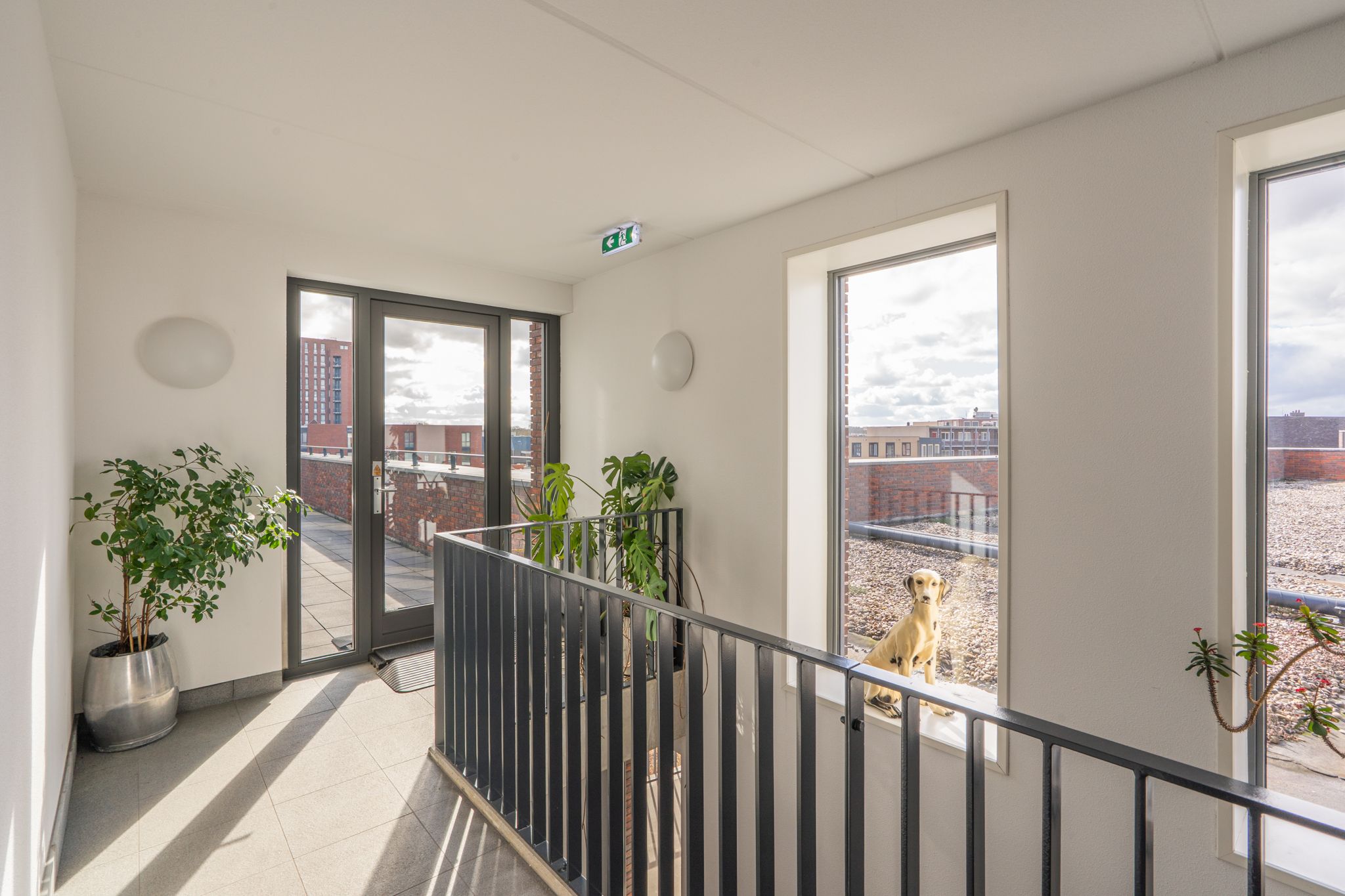 Foto 15 van Nijlandstraat 98