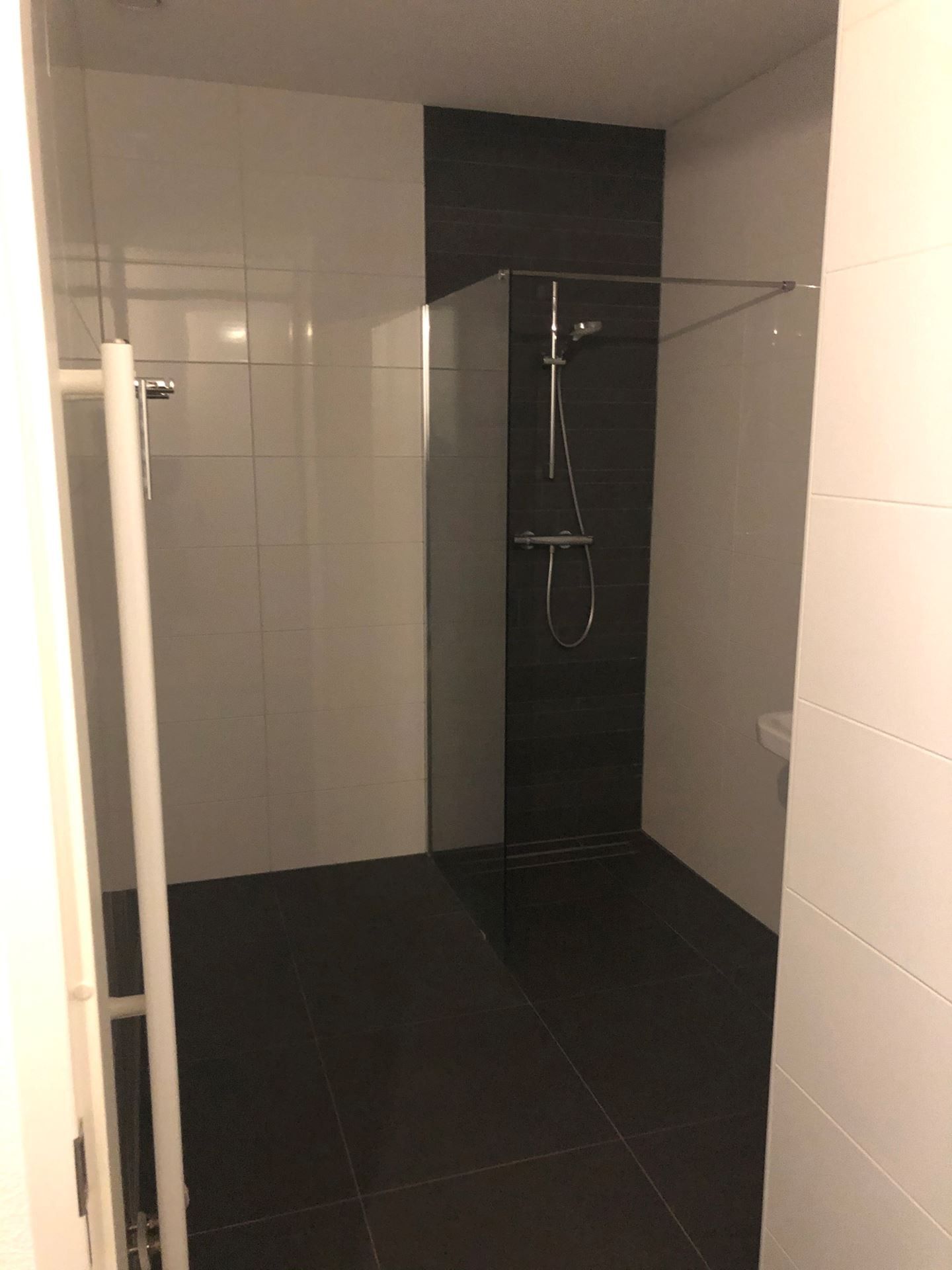 Foto 4 van Ranonkellaan 299