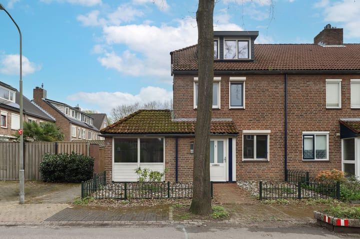 Foto 1 van Leerlooier 1