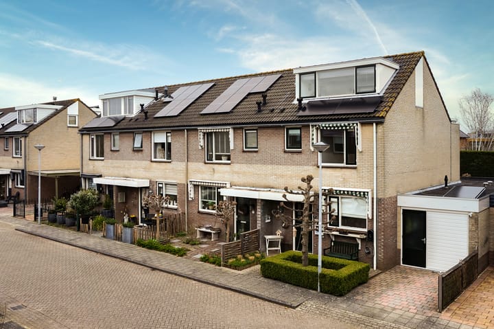 Foto 5 van Muurmos 4