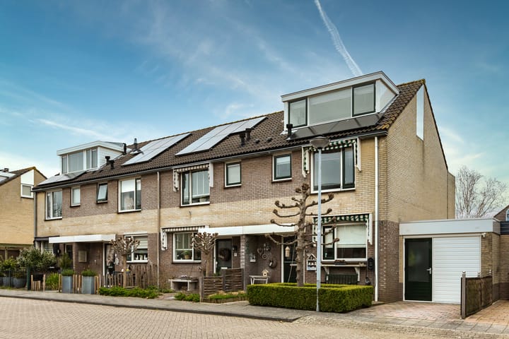 Foto 6 van Muurmos 4