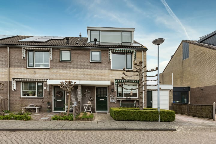 Foto 7 van Muurmos 4