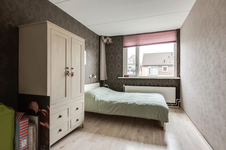 Foto 19 van Muurmos 4