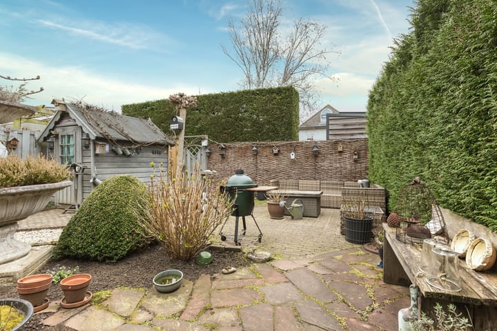 Foto 30 van Muurmos 4