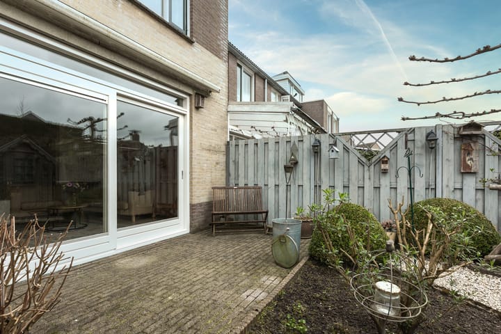 Foto 32 van Muurmos 4