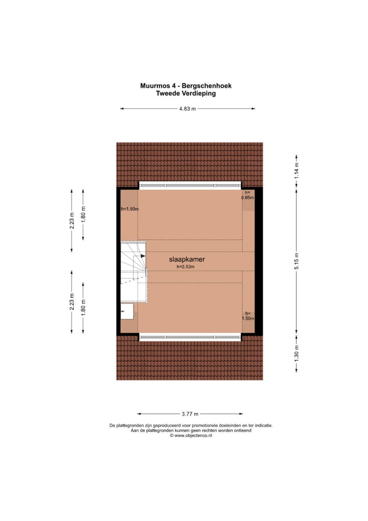 Foto 39 van Muurmos 4