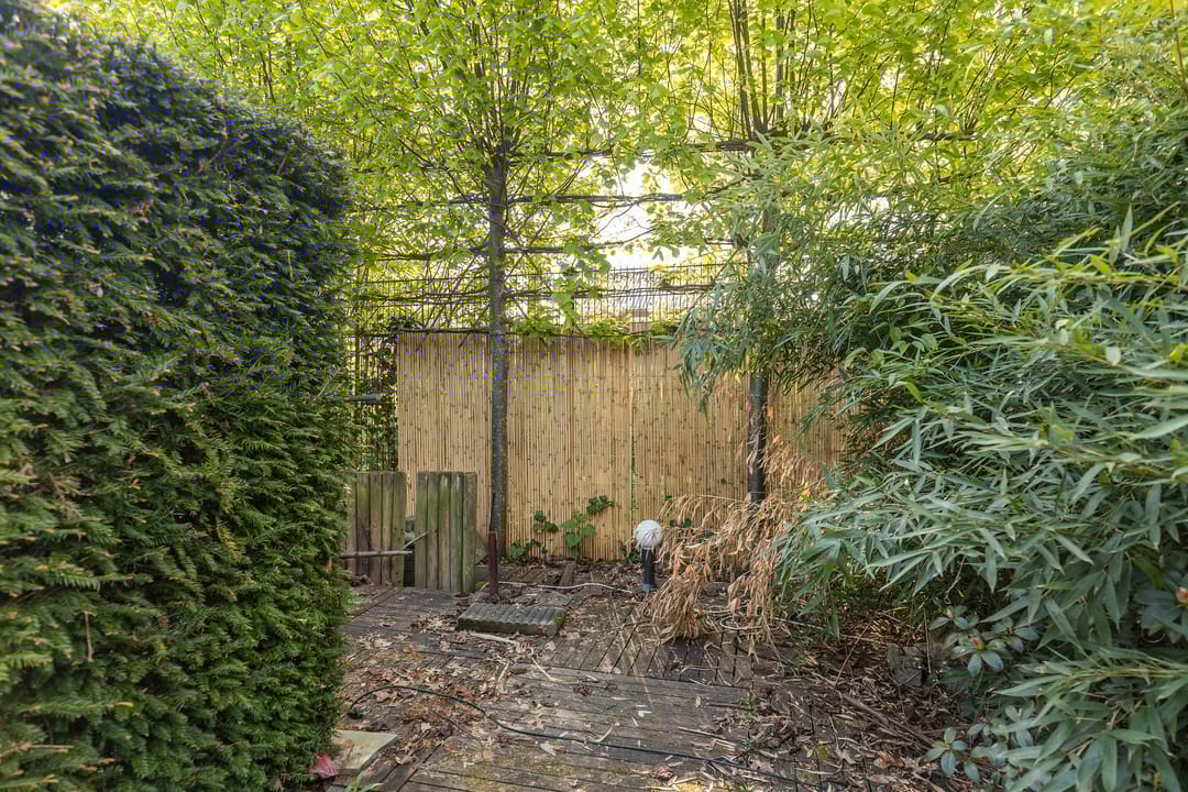 Foto 16 van Thorbeckestraat 5