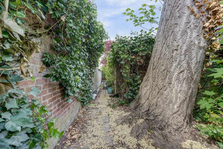 Photo 52 of Wolfskuilseweg 7