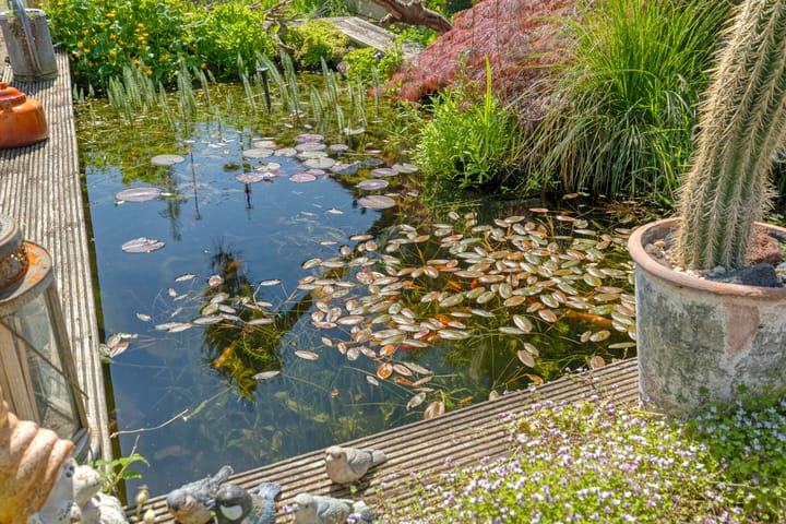 Foto 31 van Adelstraat 12-A