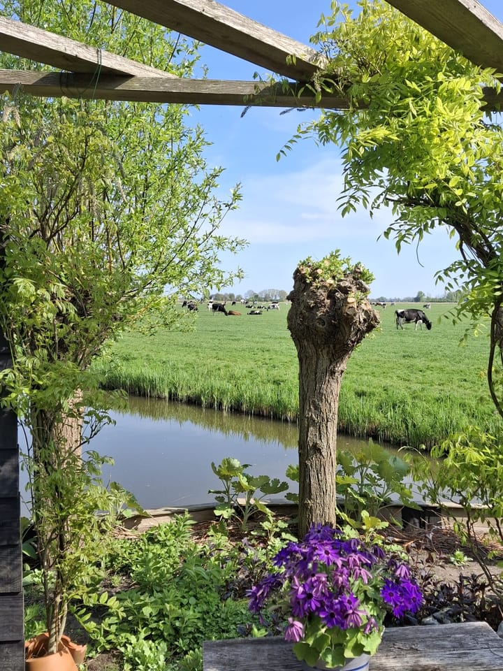 Foto 36 van Pompsloot 4