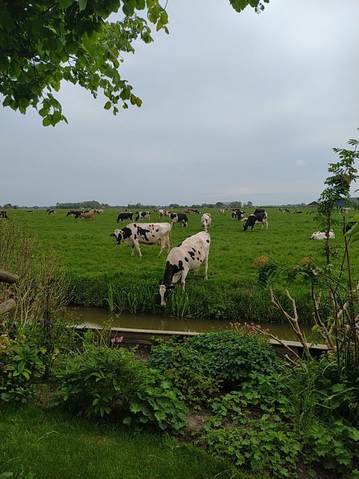 Foto 37 van Pompsloot 4