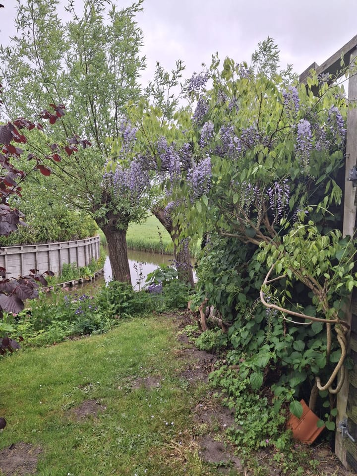 Foto 41 van Pompsloot 4