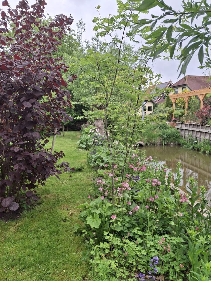 Foto 42 van Pompsloot 4