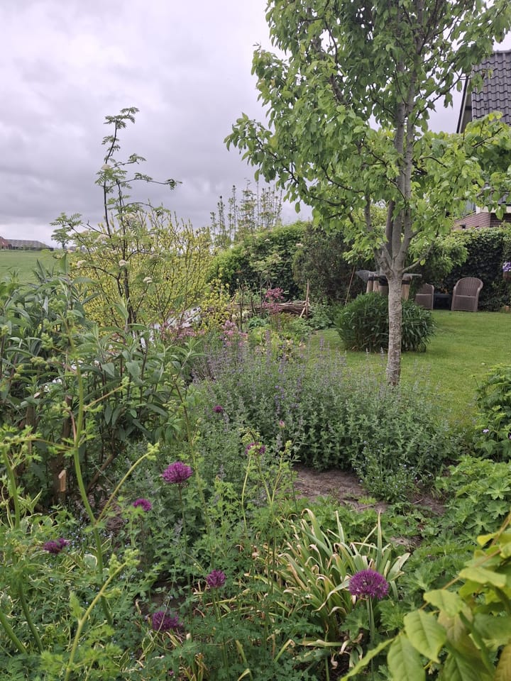 Foto 44 van Pompsloot 4