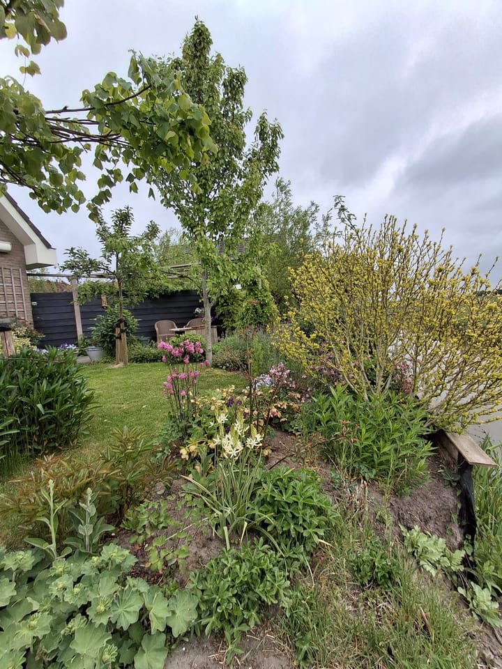 Foto 45 van Pompsloot 4