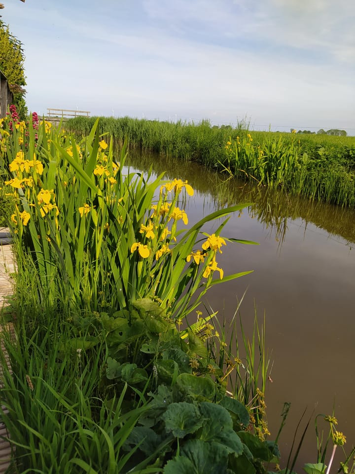 Foto 48 van Pompsloot 4