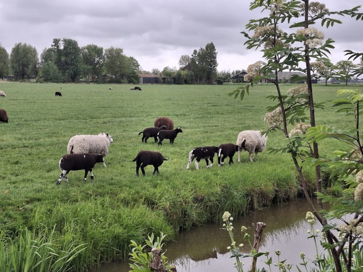 Foto 50 van Pompsloot 4