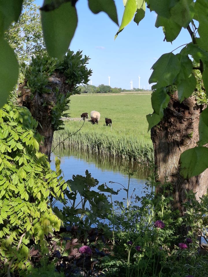 Foto 51 van Pompsloot 4