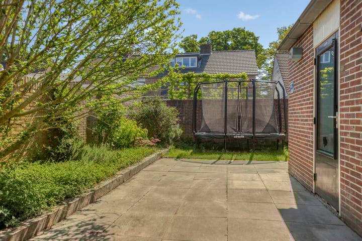 Foto 4 van Perzikkruid 2