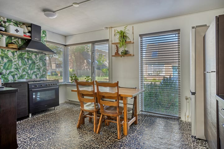 Foto 8 van Perzikkruid 2