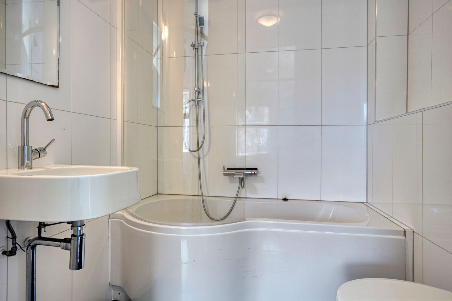 Foto 14 van Perzikkruid 2