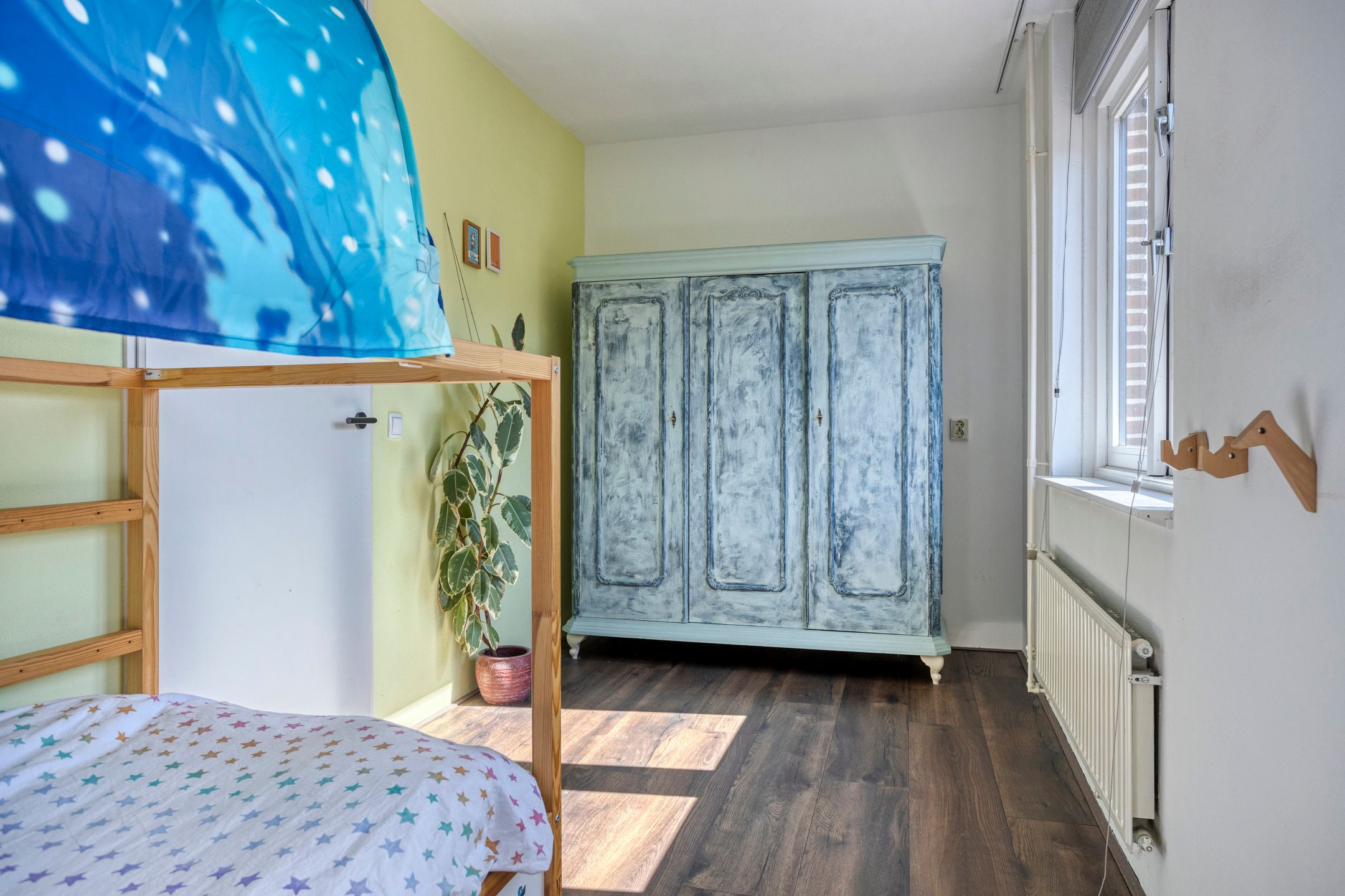 Foto 18 van Perzikkruid 2