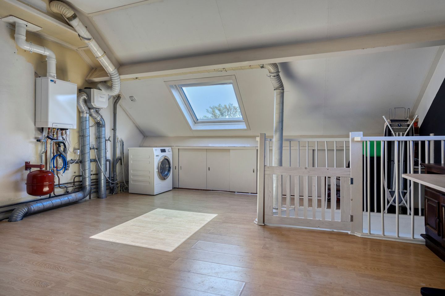 Foto 19 van Perzikkruid 2