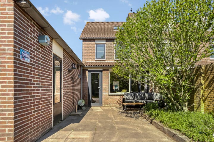 Foto 21 van Perzikkruid 2