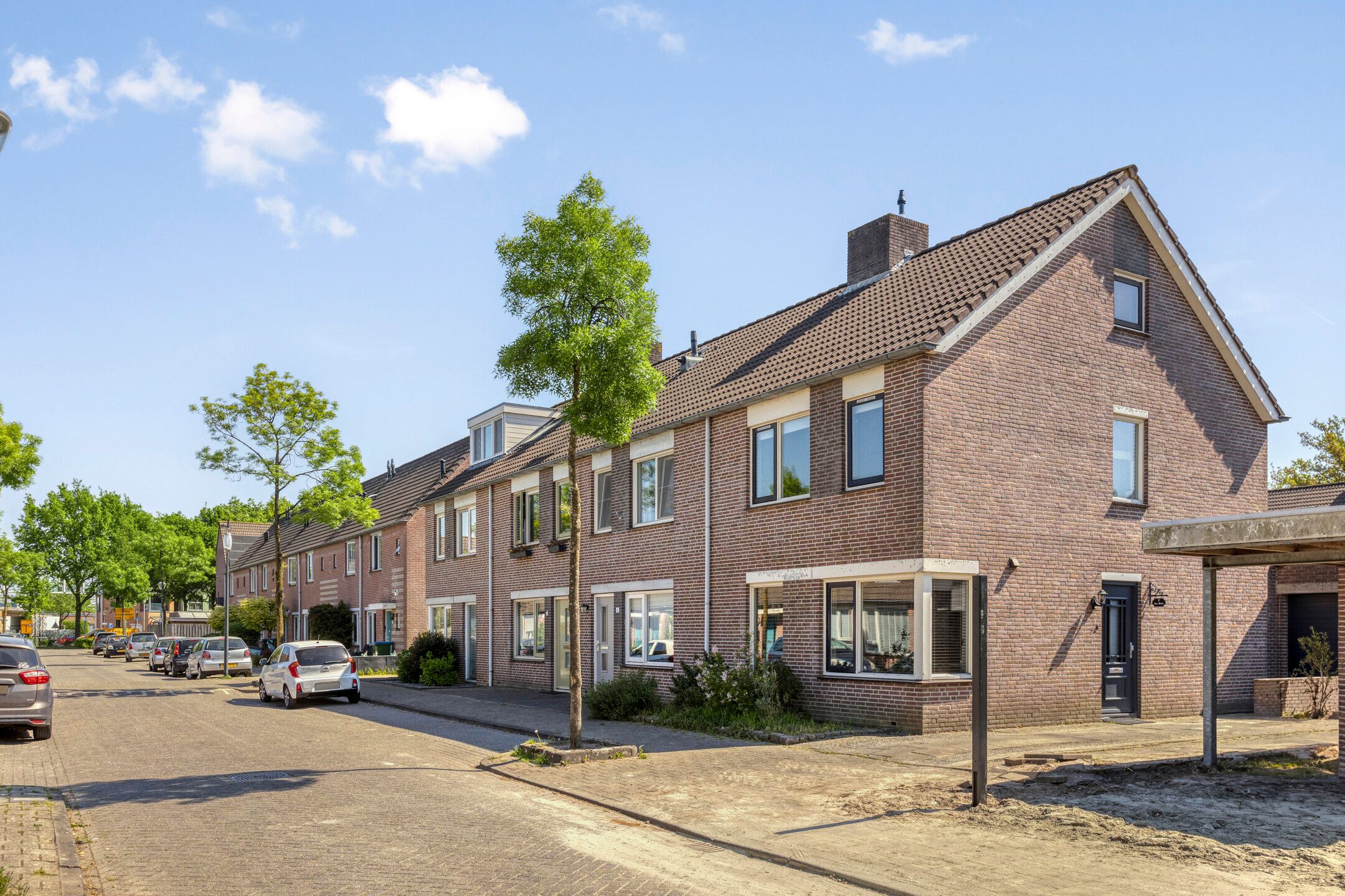 Foto 24 van Perzikkruid 2