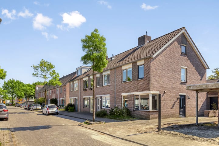 Foto 24 van Perzikkruid 2