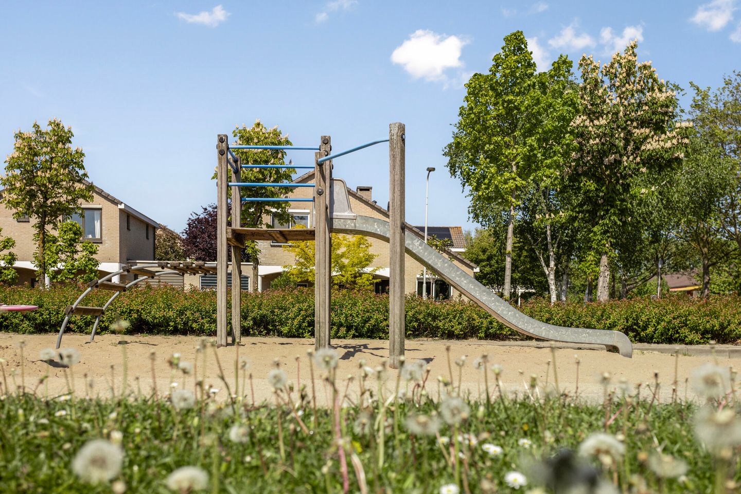 Foto 25 van Perzikkruid 2