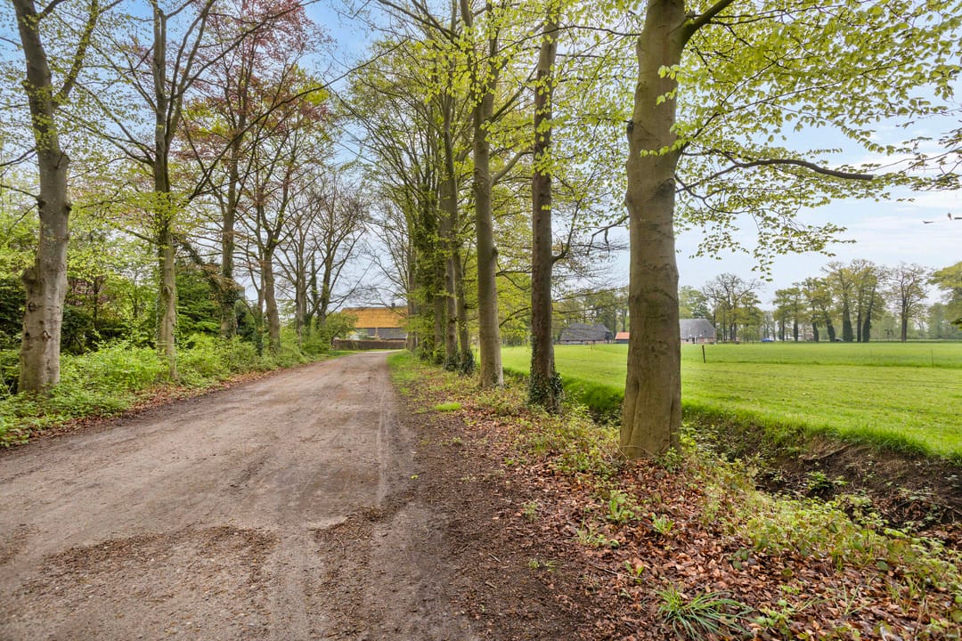 Foto 2 van Loolaan 48