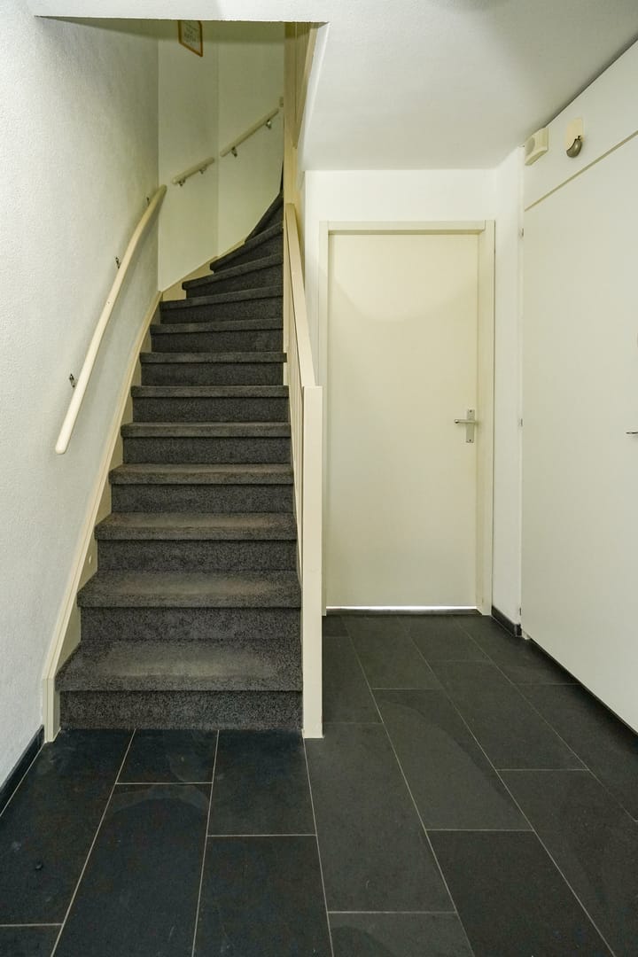 Foto 5 van de Lingert 5126