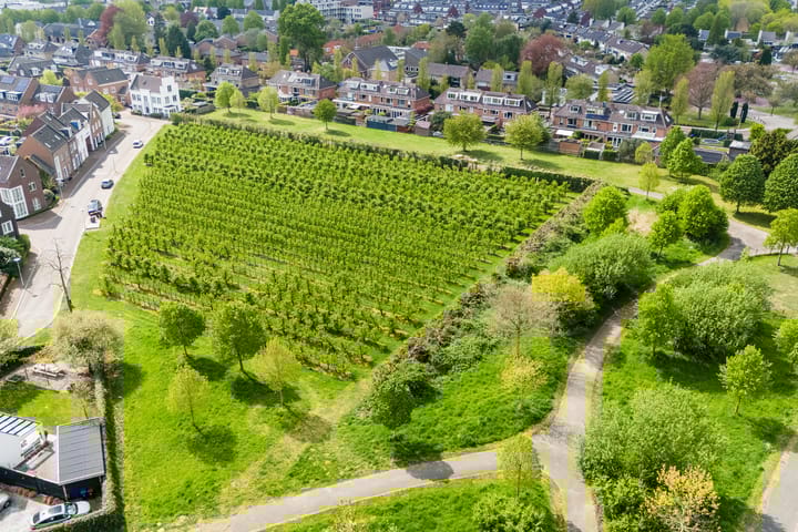 Foto 55 van Bertus Aafjeslaan 19