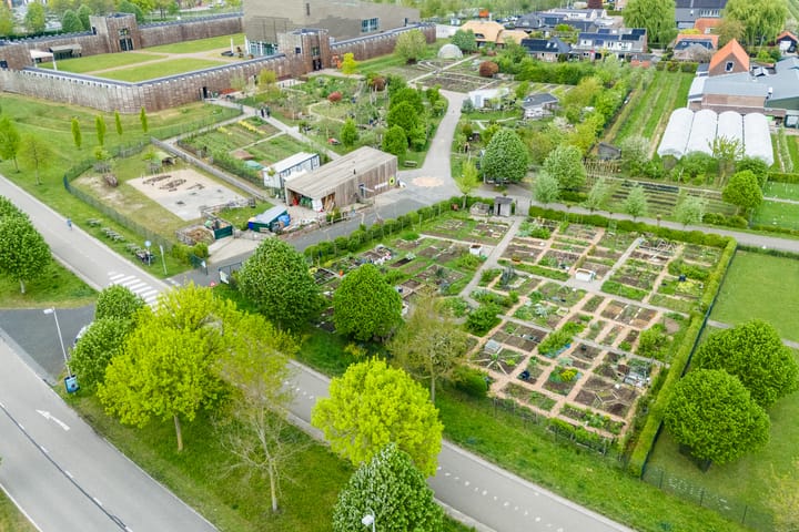 Foto 56 van Bertus Aafjeslaan 19