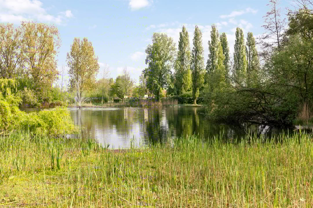 Foto 53 van Aida de Mirandaplein 25