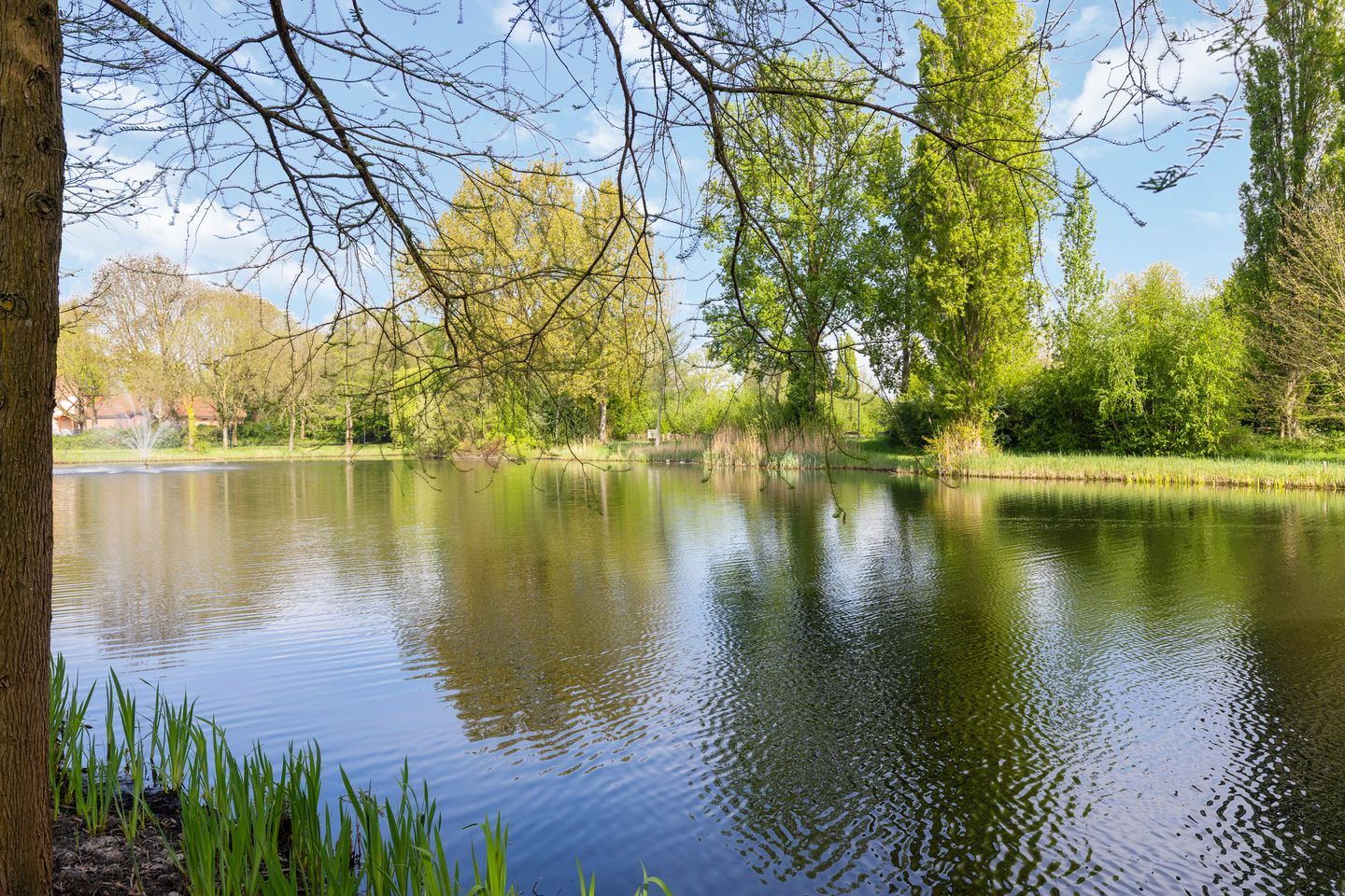 Foto 55 van Aida de Mirandaplein 25