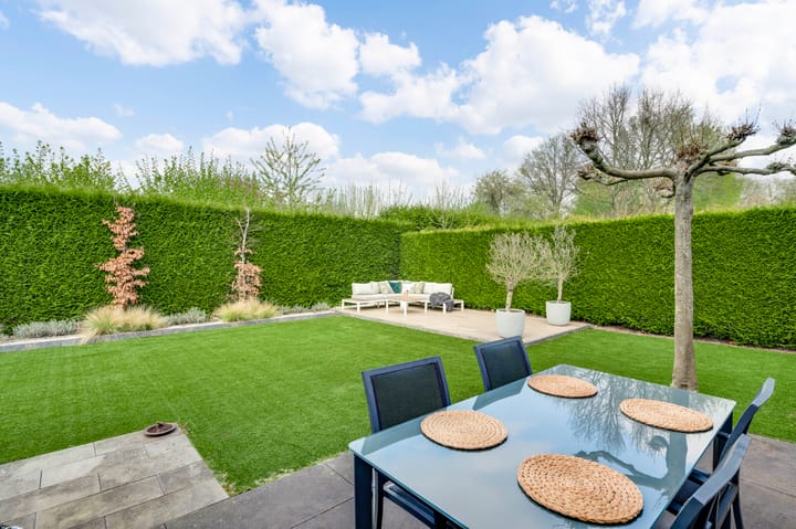 Foto 3 van Paltrokmolen 118