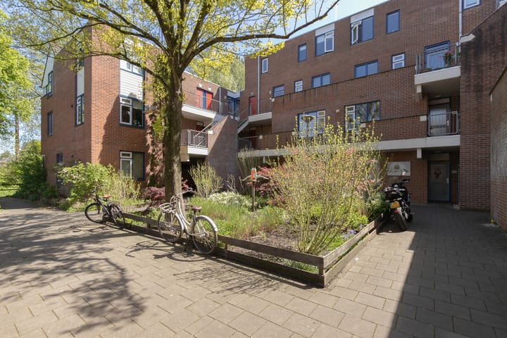 Bekijk foto van Stuifzwam 138