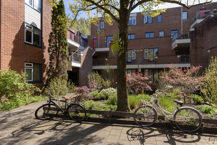 Foto 2 van Stuifzwam 138