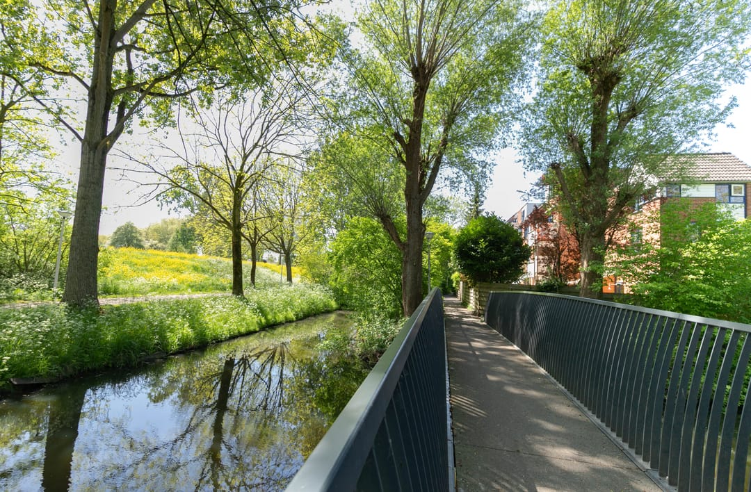 Photo 23 of Stuifzwam 138