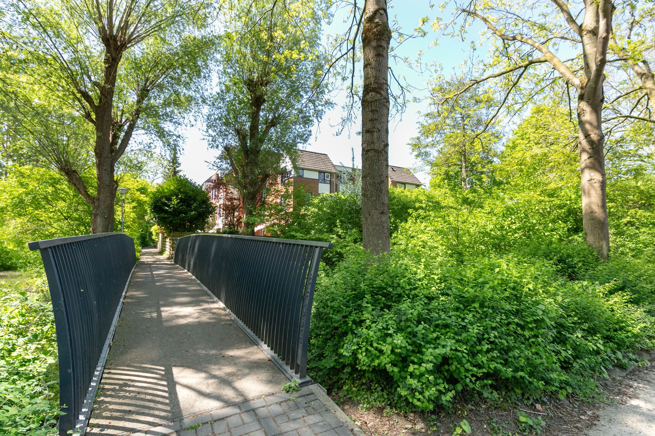 Photo 24 of Stuifzwam 138