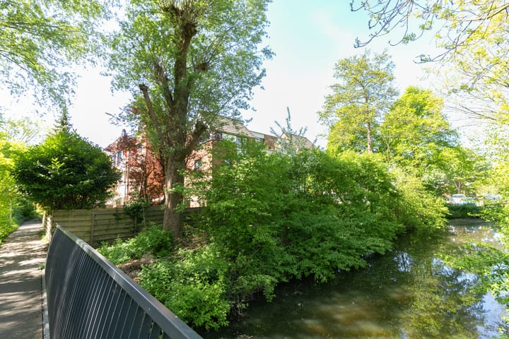 Photo 25 of Stuifzwam 138