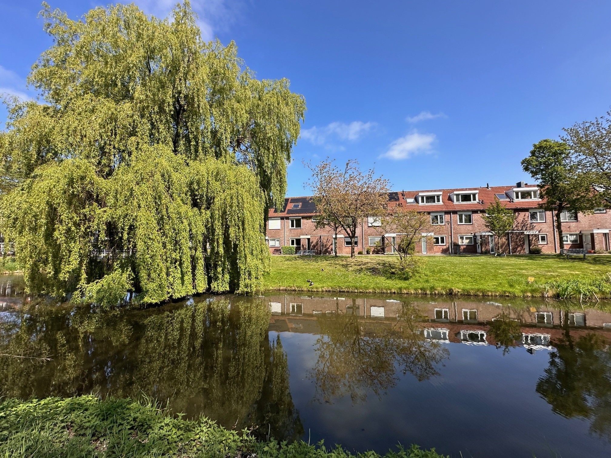 Foto 48 van Roosje Vosstraat 16