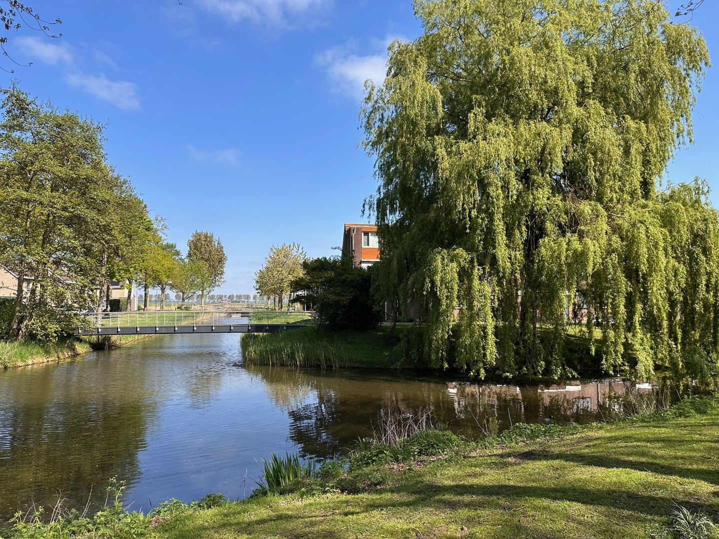 Foto 49 van Roosje Vosstraat 16