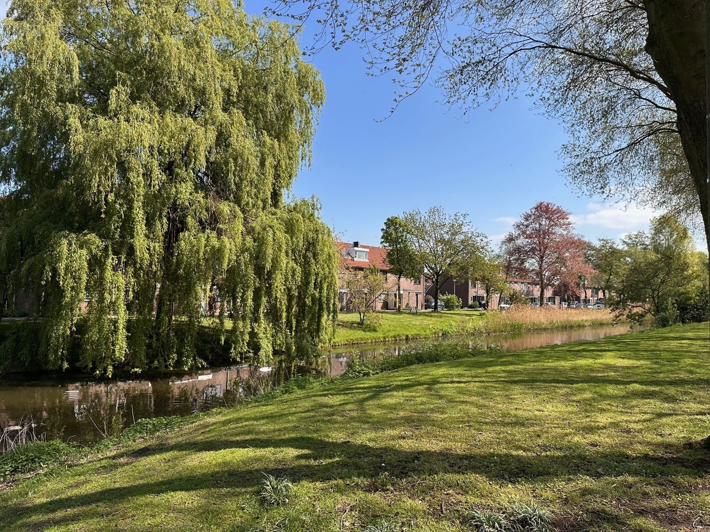 Foto 50 van Roosje Vosstraat 16