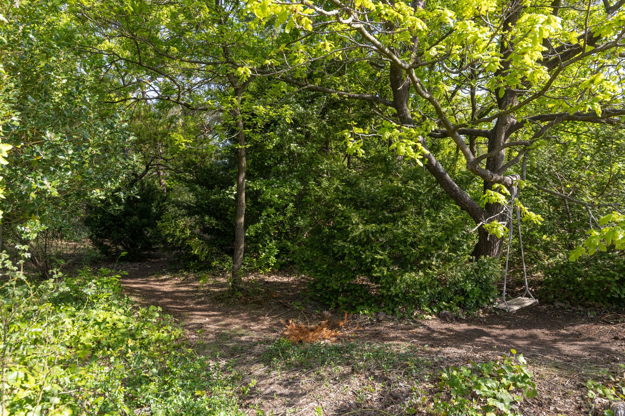 Foto 48 van Valklaan 4