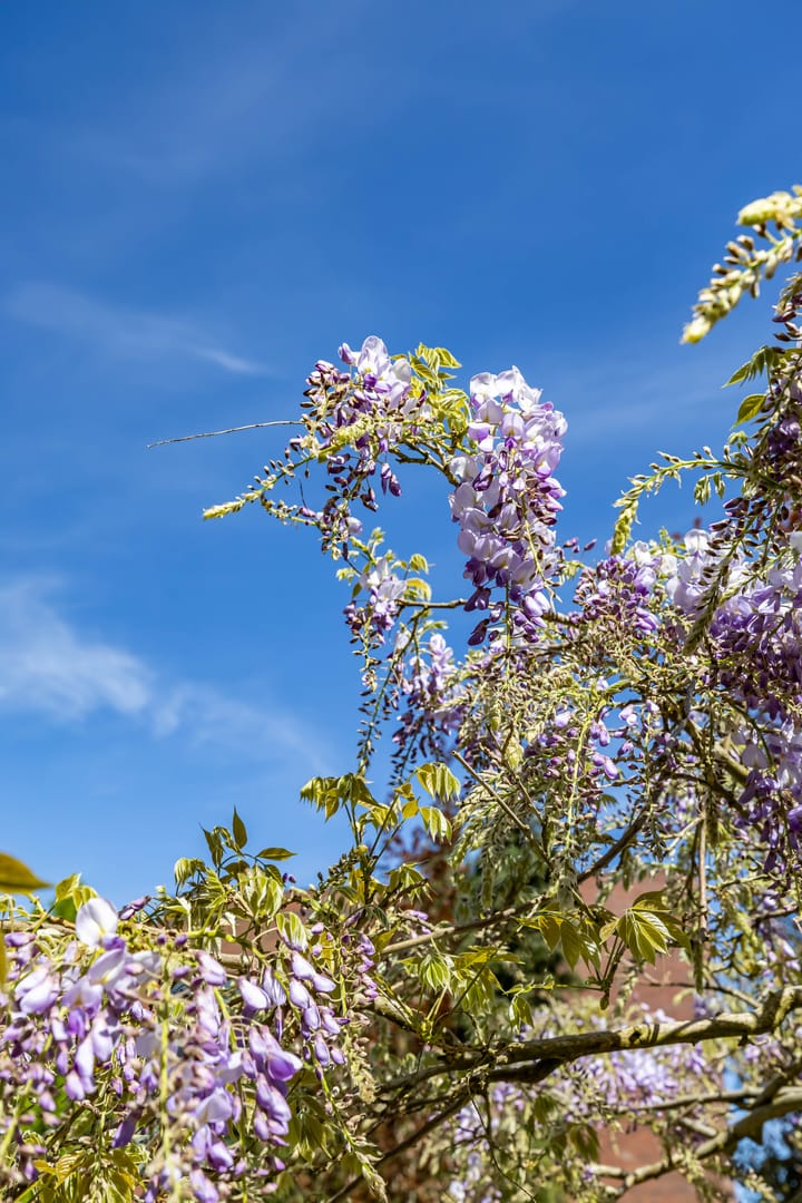 Foto 63 van Noorderstraat 168