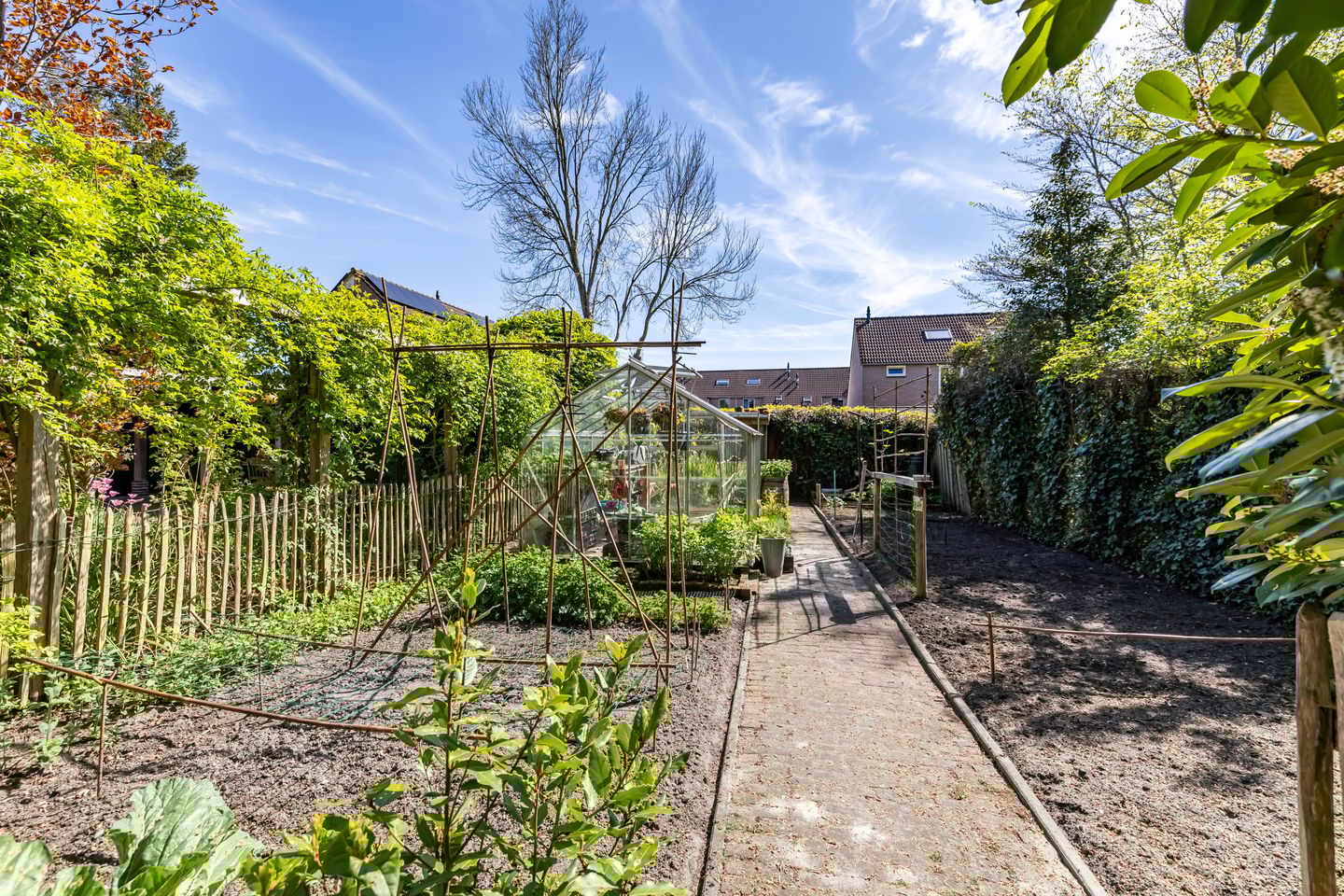 Foto 64 van Noorderstraat 168