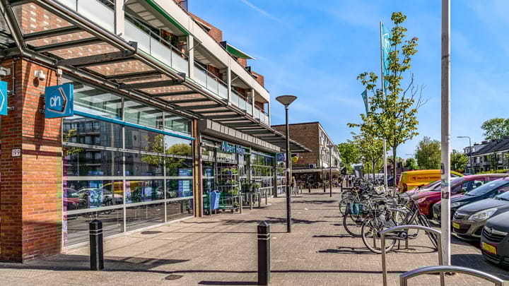 Photo 38 of Mesdaglaan 135